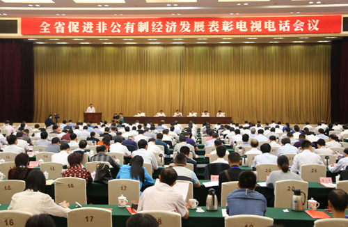 仁和集团荣膺江西省先进非公有制企业