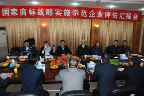 国家商标战略实施示范工作督导组到仁和集团检查指导工作