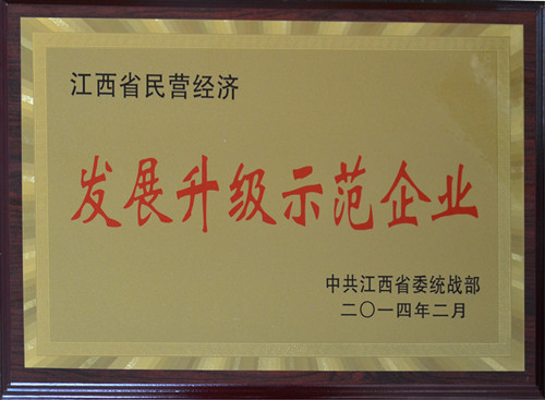 仁和集团荣膺“江西省民营经济发展升级示范企业”
