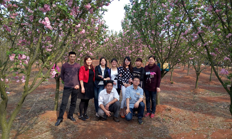 药用塑胶公司组织开展户外拓展活动