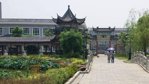 科技园内遍布药市与药坊风格厂房