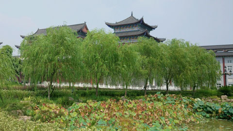 展示“人为本 和为贵”的企业文化