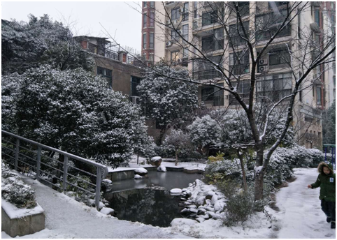 银装素裹 不负期盼