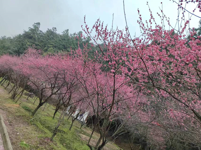 快乐假期  与你童行